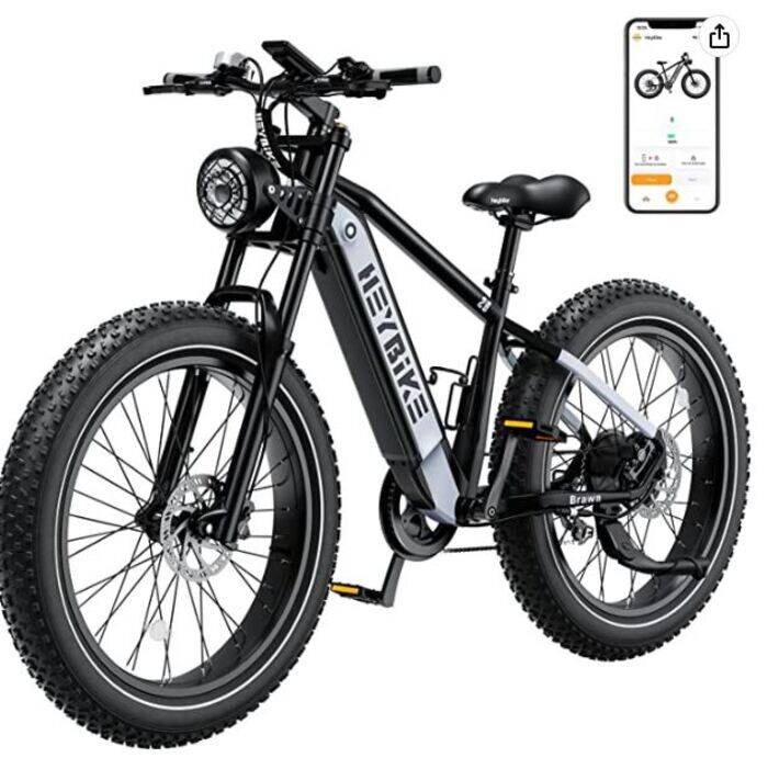 Heybike Brawn (750W)